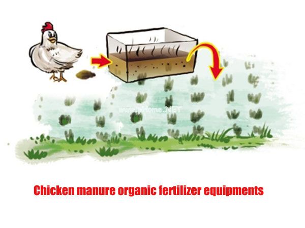如何通过鸡粪生产线生产鸡粪有机肥?